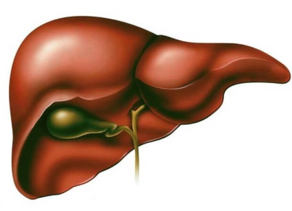 De ce ecogenicitate ficat a crescut - simptome, diagnostic, tratament, ceea ce ehostruktura ficat