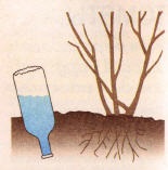 Udarea de sticle din plastic (sticle de plastic) Udarea din sticle de plastic