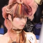 Hairstyle pentru păr lung (păr) Hairstyle pentru parul lung
