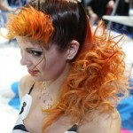 Hairstyle pentru păr lung (păr) Hairstyle pentru parul lung