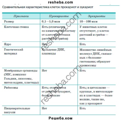 Celulele procariote (bacterii rădăcini leguminoase) celulă procariotă