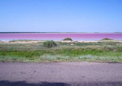 regiunea Oceania (Zeelandă Noua Guinee) regiunea Oceania