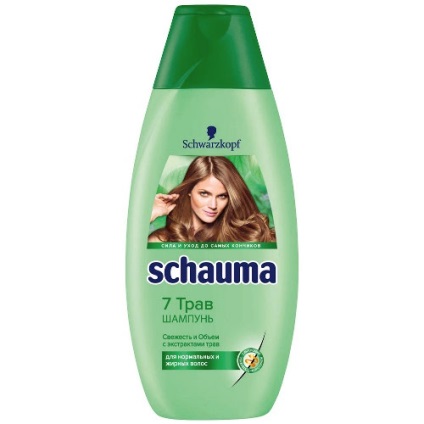 Schaum comentarii sampon, tipuri de eficiență (șampon) Șampon Schaum comentarii, tipuri, eficiență