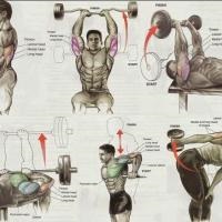 Push presa - sala de fitness acum (shvung) Push presa - sala de fitness acum!