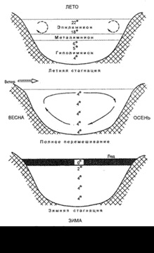 Habitat a organismelor vii, habitate acvatice - hidrosfera, grupuri de mediu (note) Habitat a organismelor vii, habitate acvatice - hidrosfera, grupuri de mediu