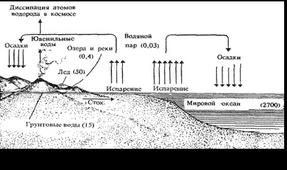 Habitat a organismelor vii, habitate acvatice - hidrosfera, grupuri de mediu