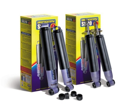 Tuning vaze Suspensie 2107 frets master (suspensie Tune 2107) Suspensie Tuning vaze 2107 freturi de master