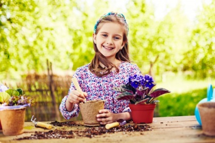 Îngrijire de iluminat violete, udare, temperatura, mărimea potului (îngrijirea violete în timpul iernii) Grija de iluminat violete, udare, temperatura, marimea potului