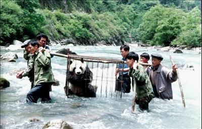 Greater China (China) mare China