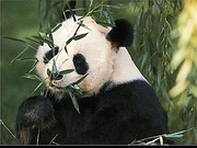 Greater China (China) mare China