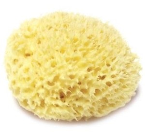 bureții de selecție (potrivite pentru aplicații frecvente) Alegerea washcloths