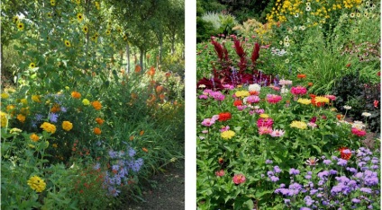 Tipuri de paturi de flori pe (grădină) Tipuri de paturi de flori pe