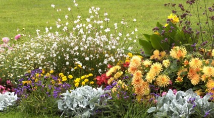 Tipuri de paturi de flori în (culturi horticole) Tipuri de paturi de flori pe