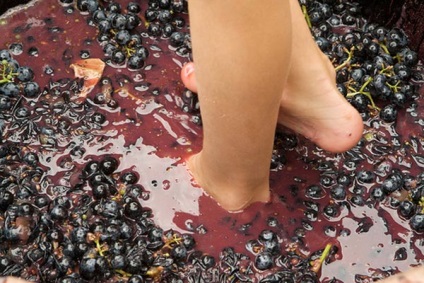 Vin în picioare (picioare) Vin sub picior