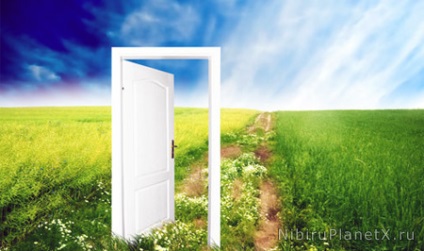 Impactul asupra deciziei persoanei (pe care doriți să-om) Impactul asupra deciziilor umane