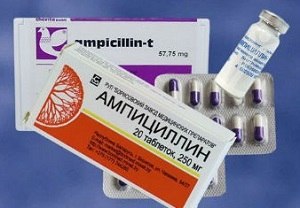 Simptomele Chlamydia la femei si tratamentul Chlamydia, decât pentru a trata foto (poze) Simptomele Chlamydia la femei si tratamentul Chlamydia, fotografii decât vindecarea
