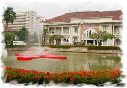 Thai specii de șarpe, fotografii, descriere, acțiune prin înțepătura (acțiune) specii Thai șarpe, fotografii, descriere, acțiune prin înțepătura