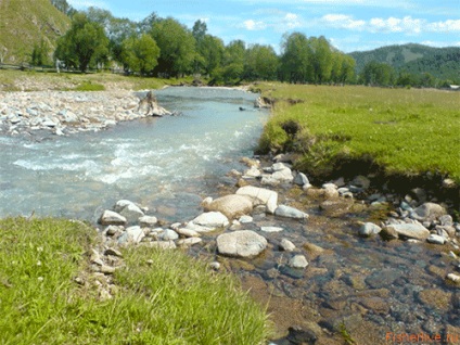 Prinderea sfaturi de primăvară cleanul pescari