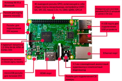 Single-board microcalculator zmeura pi, modelul și versiunea care aveți nevoie și în cazul în care pentru a începe