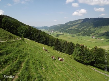 Rodelban în Alpi, maeștrii de țară