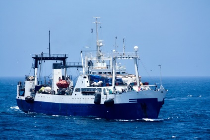 pescuit Big joc (pescuit destinat) mare de pescuit joc