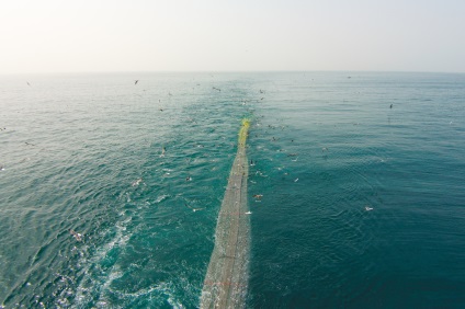 pescuit Big joc (pescuit destinat) mare de pescuit joc