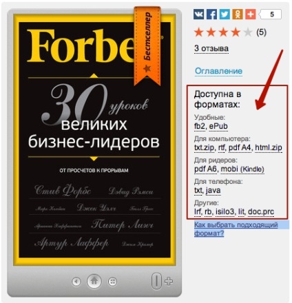 formate E-book