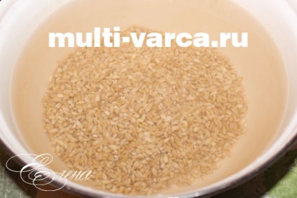 Pui cu orz în multivarka (multivarka) Pui cu orz perla in multivarka