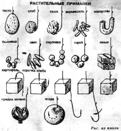 Opinie - vârfurile din plante cele mai dovedit și eficiente, momeli, momeli - secretele lor (ambalare de legume) Opinie - vârfurile din plante cele mai dovedit și eficiente, momeli, momeala - secretele lor