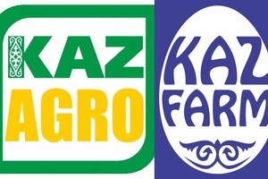Ce alimente calde (site-uri de prelucrare a alimentelor) Ce masă caldă