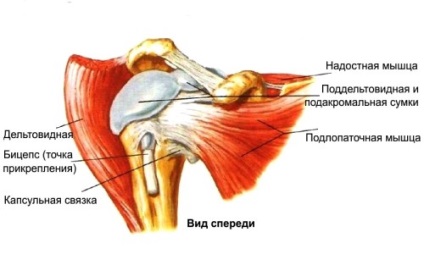 Muștele articulația umărului pentru a face, de prevenire (video)