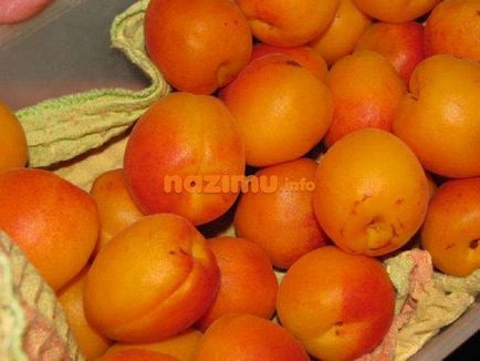 Абрикосовий конфітюр - простий рецепт з фото, як крок за кроком приготувати (рецепт) Абрикосовий конфітюр - простий рецепт з фото, як крок за кроком приготувати