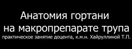 Анатомія людини порожнину гортані