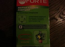 Белокрилка - заходи боротьби (води настоюють добу) Белокрилка - заходи боротьби