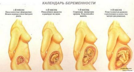 Вагітність 20 тижнів застуда лікувати, застуда при вагітності