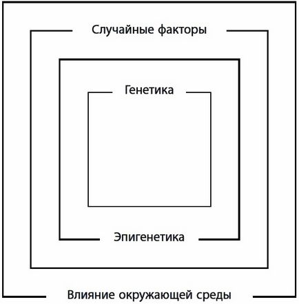 Безсмертя інструкція (довголіття) безсмертя інструкція