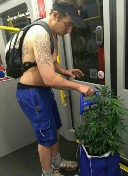 Без палева! Або чим зайнятися, поки ніхто не бачить, gagtime (бачить) Без палева! Або чим зайнятися, поки ніхто не бачить, gagtime