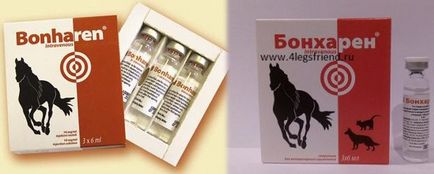 Бонхарен для собак - інструкція із застосування, ціна, відгуки, «дай лапу» (собак) Бонхарен для собак - інструкція із застосування, ціна, відгуки, «дай лапу»