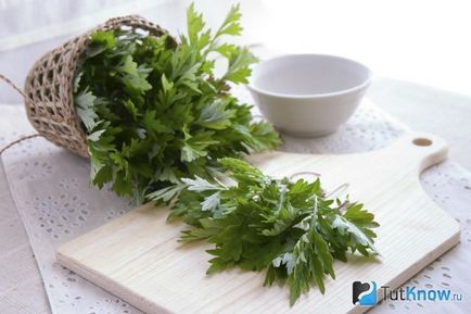 Цілющі властивості і застосування полину (лікувальні трави) Цілющі властивості і застосування полину