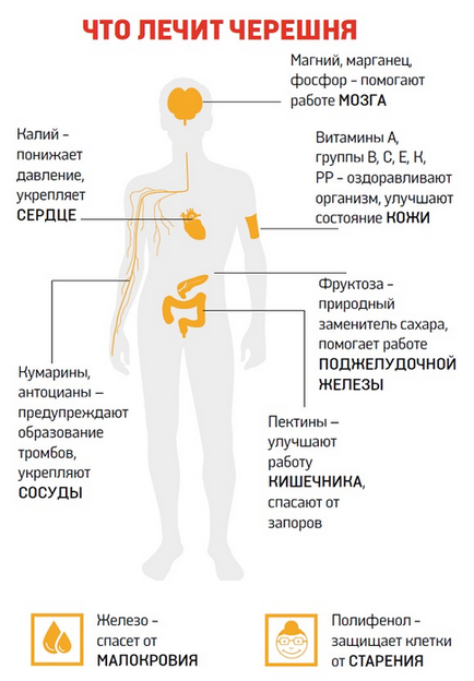 Черешня для схуднення відгуки, черешнева дієта, меню, рецепти (схуднення) Черешня для схуднення відгуки, черешнева дієта, меню, рецепти