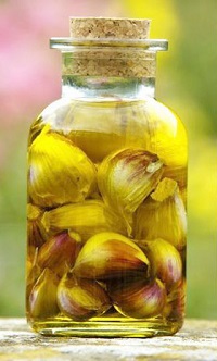 Часникова олія користь і шкода, приготування, як приймати, el-klinika (масло) Часникова олія користь і шкода, приготування, як приймати, el-klinika