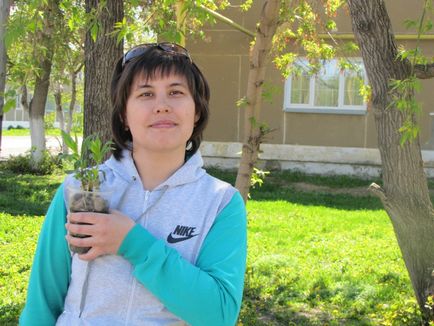 Що росте в вашому саду-городі (саду-городі) Що росте в вашому саду-городі