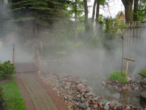 Що таке туманні установки (таке) Що таке туманні установки