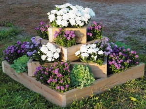Квітники та клумби своїми руками, поради дизайнерів (квітники і клумби соімі руками) Квітники та клумби своїми руками, поради дизайнерів