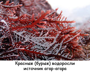 Домашній мармелад на агар-агар, fordiets (fordiets) Домашній мармелад на агар-агар, fordiets