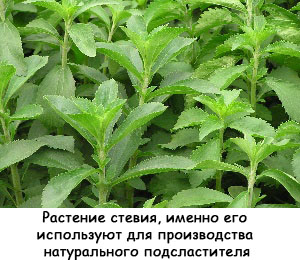 Домашній мармелад на агар-агар, fordiets (домашній) Домашній мармелад на агар-агар, fordiets