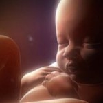 Езотерика вагітності, або малюк до народження, елена Шандрікова (вагітності) Езотерика вагітності, або малюк до народження, елена Шандрікова
