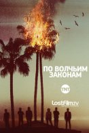 Фільм каруселі 2013 дивитися онлайн в hd 720 як російською мовою (фільм) Фільм каруселі 2013 дивитися онлайн в hd 720 як російською мовою