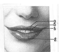 Губи як основний фактор в красі особи