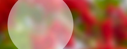 Інтернет-магазин живий косметики () Інтернет-магазин живий косметики